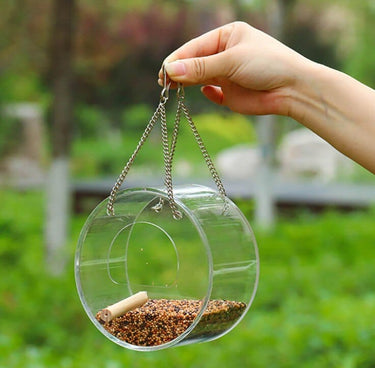 Mangeoire à oiseaux transparente